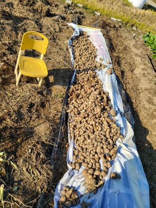 박순례님의 농지취득규제, 완화 찬성 vs 완화 반대 · 참여글 작성글 사진