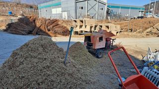 모포리흰개 님의 포도 · 자유게시판 작성글 사진