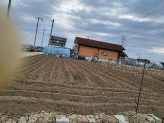 박순례님의 농지취득규제, 완화 찬성 vs 완화 반대 · 참여글 작성글 사진