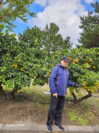 이훈정(시몬)님의 2024년 출석왕중왕 결과 공유해요 👑 · 참여글 작성글 사진