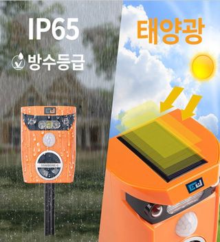 전순덕.동신유통님의 작성글 사진