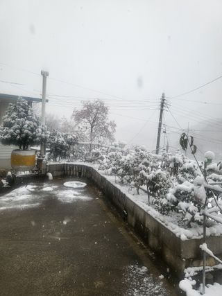 블루베리17774님의 2024년 출석왕중왕 결과 공유해요 👑 · 참여글 작성글 사진