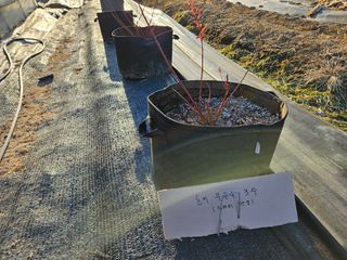 뿡뿡농장님의 2024년 출석왕중왕 결과 공유해요 👑 · 참여글 작성글 사진