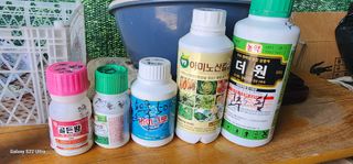 한밭골님의 2024년 출석왕중왕 결과 공유해요 👑 · 참여글 작성글 사진