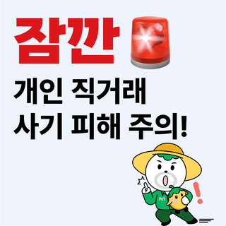 팜모닝님의 팜모닝공식·공지 작성글 사진