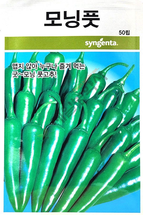 안산제일농약사님의 장터 판매 상품 [모닝풋고추 50립 남은수량특가] 첨부 사진