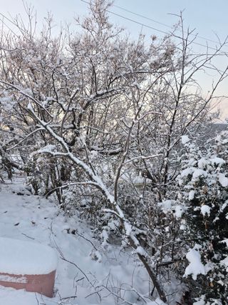 산들농원님의 2024년 출석왕중왕 결과 공유해요 👑 · 참여글 작성글 사진