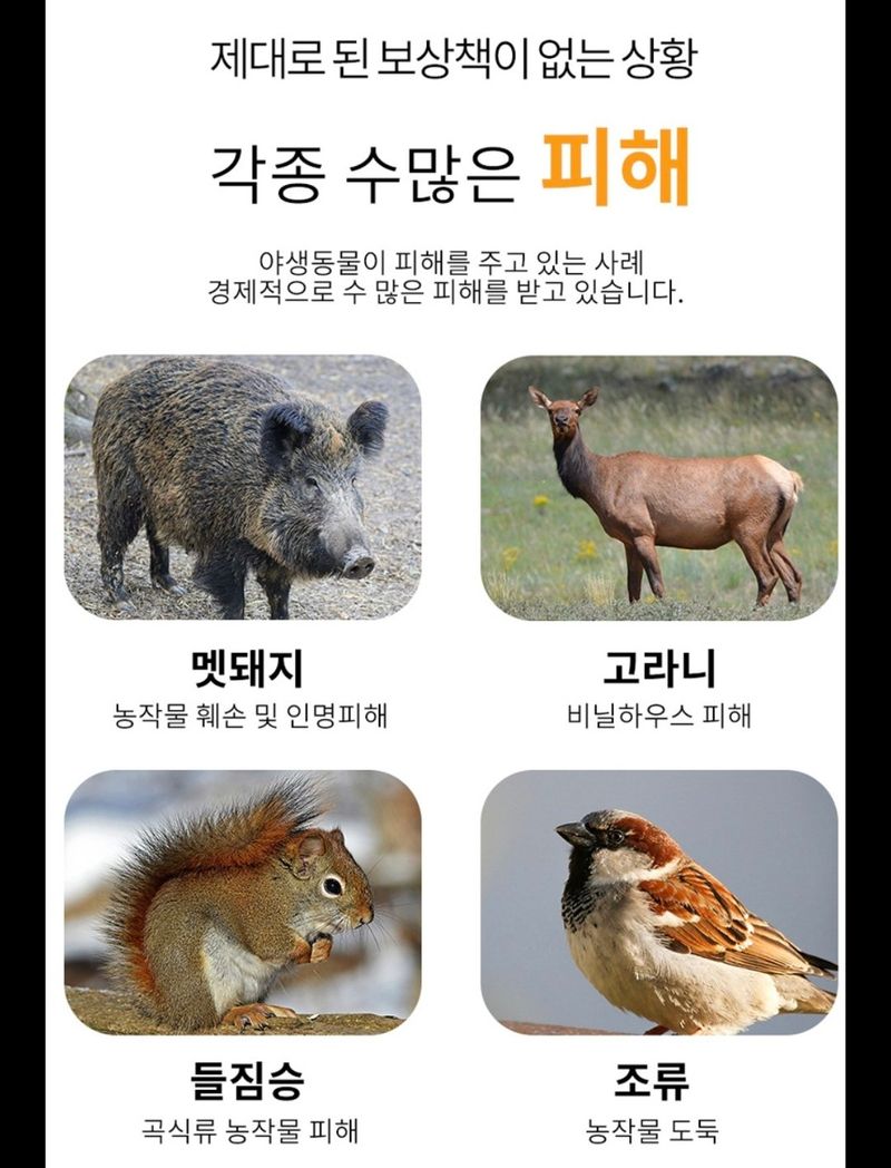 전순덕.동신유통님의 장터 판매 상품 [야생동물 퇴치기] 첨부 사진