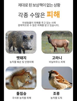 전순덕.동신유통님의 작성글 사진