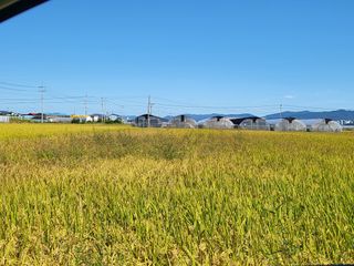 박순례님의 농지취득규제, 완화 찬성 vs 완화 반대 · 참여글 작성글 사진