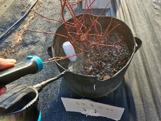 뿡뿡농장님의 2024년 출석왕중왕 결과 공유해요 👑 · 참여글 작성글 사진