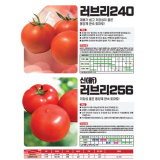 아시아종묘님의 자유주제 · 자유게시판 작성글 사진