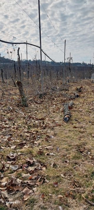 이일철 (조이산골)님의 자유주제 · 자유게시판 작성글 사진