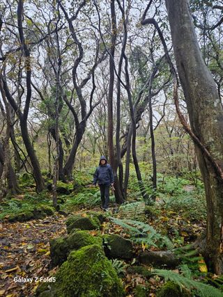 이훈정(시몬)님의 2024년 출석왕중왕 결과 공유해요 👑 · 참여글 작성글 사진