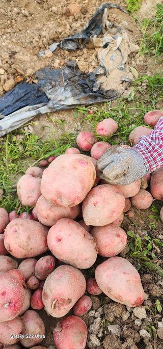 한밭골님의 2024년 출석왕중왕 결과 공유해요 👑 · 참여글 작성글 사진