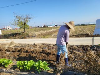 박순례님의 농지취득규제, 완화 찬성 vs 완화 반대 · 참여글 작성글 사진