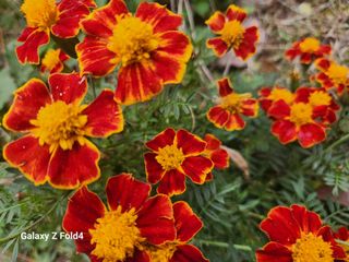 이훈정(시몬)님의 작성글 사진