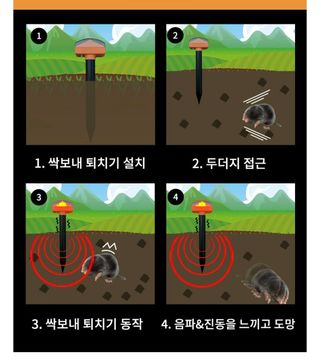 전순덕.동신유통님의 작성글 사진