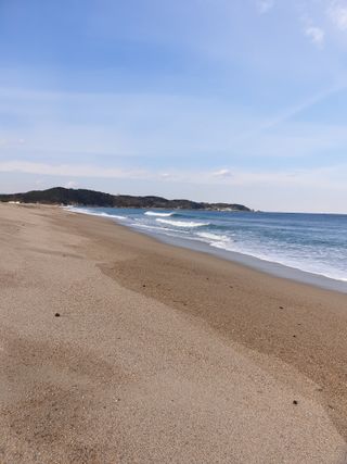 산들농원님의 2024년 출석왕중왕 결과 공유해요 👑 · 참여글 작성글 사진