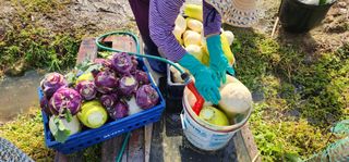 한밭골님의 2024년 출석왕중왕 결과 공유해요 👑 · 참여글 작성글 사진