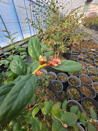 김성균님의 2024년 출석왕중왕 결과 공유해요 👑 · 참여글 작성글 사진