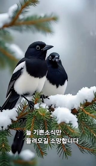 헌제 유원종님의 2024년 출석왕중왕 결과 공유해요 👑 · 참여글 작성글 사진