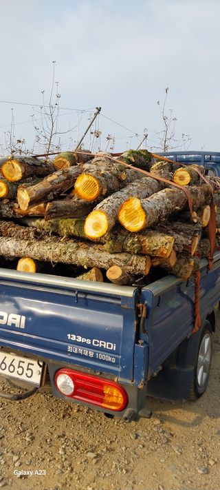이일철 (조이산골)님의 자유주제 · 자유게시판 작성글 사진