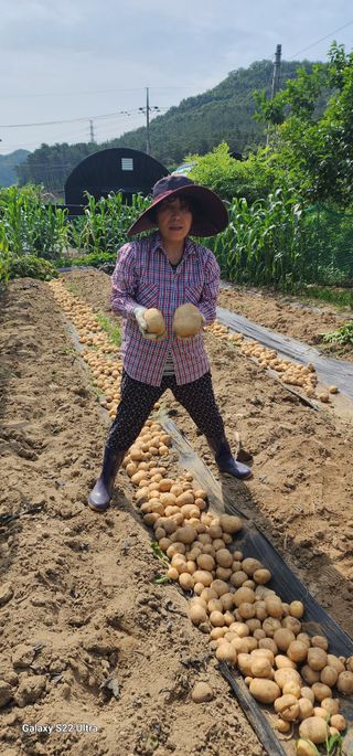 한밭골님의 2024년 출석왕중왕 결과 공유해요 👑 · 참여글 작성글 사진