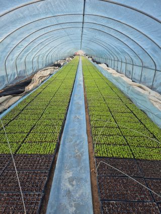 병풍취산채농원님의 자유주제 · 자유게시판 작성글 사진