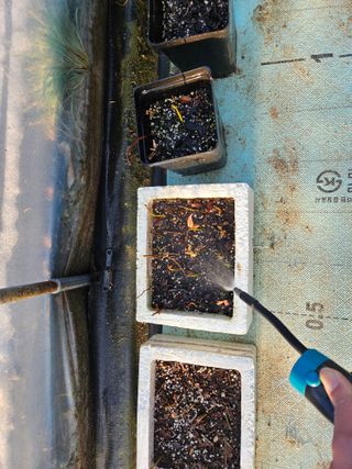 뿡뿡농장님의 2024년 출석왕중왕 결과 공유해요 👑 · 참여글 작성글 사진