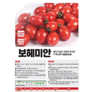 아시아종묘님의 자유주제 · 자유게시판 작성글 사진