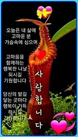 헌제황제유님의 2024년 출석왕중왕 결과 공유해요 👑·참여글 작성글 사진