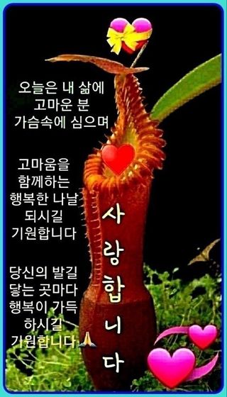 헌제 유원종님의 2024년 출석왕중왕 결과 공유해요 👑 · 참여글 작성글 사진