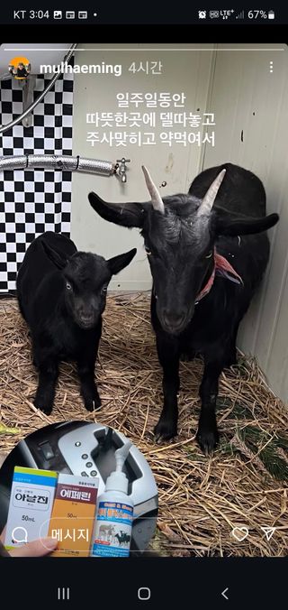 엘림농장님의 자유주제 · 칭찬해요 작성글 사진