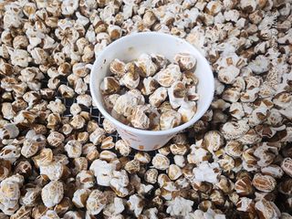 정권옥님의 자유주제 · 자유게시판 작성글 사진