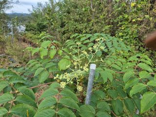 왕대추님의 농지취득규제, 완화 찬성 vs 완화 반대 · 참여글 작성글 사진