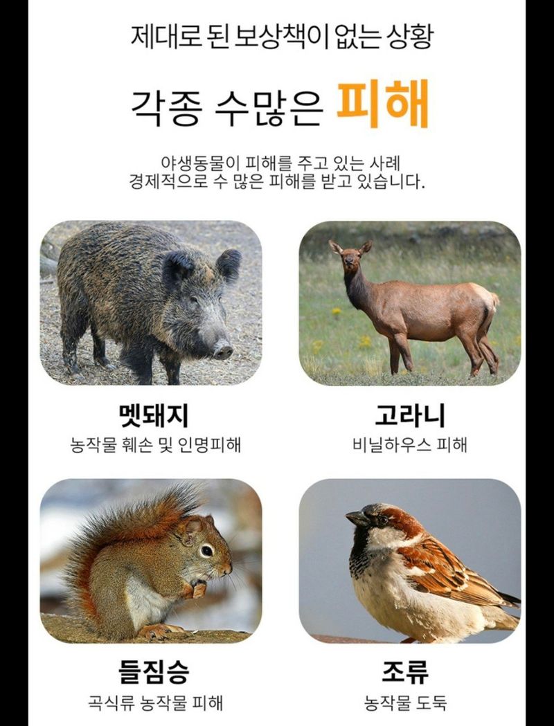 조수철님의 장터 판매 상품 [야생동물 멧돼지.고라니퇴치기] 첨부 사진