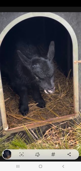 엘림농장님의 자유주제 · 칭찬해요 작성글 사진