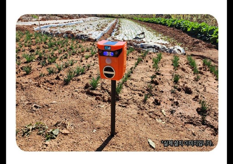 조수철님의 장터 판매 상품 [야생동물 멧돼지.고라니퇴치기] 첨부 사진