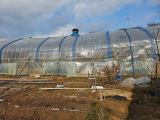 농업인님의 농지취득규제, 완화 찬성 vs 완화 반대 · 참여글 작성글 사진