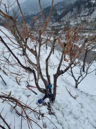 김용대님의 자유주제 · 자유게시판 작성글 사진