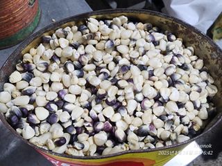 정권옥님의 자유주제 · 자유게시판 작성글 사진