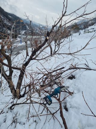 김용대님의 자유주제 · 자유게시판 작성글 사진