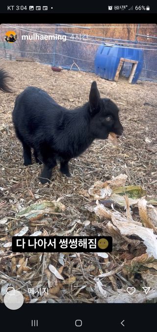 엘림농장님의 자유주제 · 칭찬해요 작성글 사진