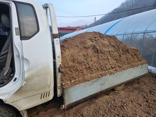 왕자농원님의 자유주제 · 자유게시판 작성글 사진