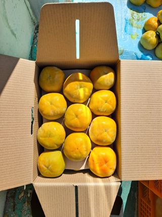 경원님의 농지취득규제, 완화 찬성 vs 완화 반대 · 참여글 작성글 사진