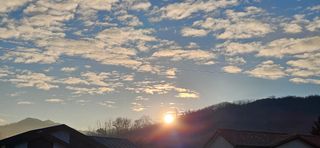 충주시산척면우성호님의 농지취득규제, 완화 찬성 vs 완화 반대 · 참여글 작성글 사진