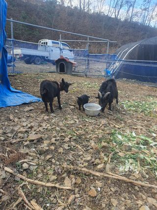 엘림농장님의 자유주제 · 칭찬해요 작성글 사진