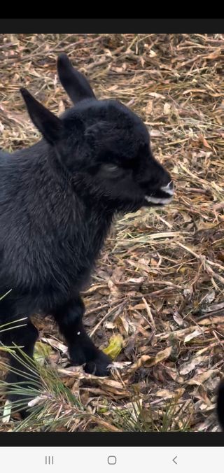 엘림농장님의 자유주제 · 칭찬해요 작성글 사진