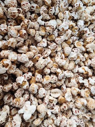 정권옥님의 자유주제 · 자유게시판 작성글 사진